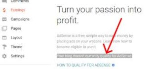 your blog doesn't currently qualify for adsense